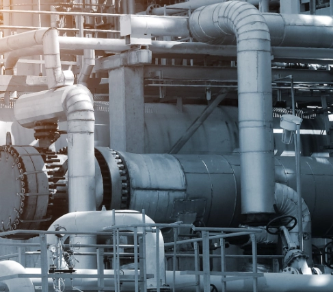 We also provide image