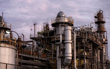 Petrochemical
                                            & Chemical Processing